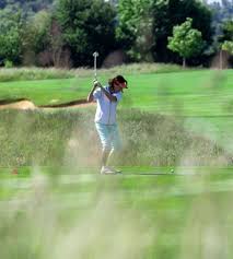 Image result for Letchworth Golf Club