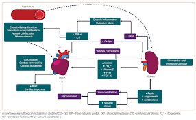 Image result for Peak Performance Ckd, Horley
