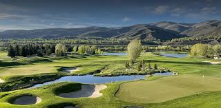 Image result for The Alt Golf Club