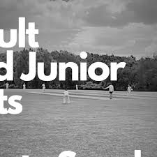Image result for Battle Cricket Club