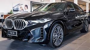 Image result for BMW X6