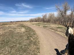 Image result for Greenways Riding Stable Lower Eashing