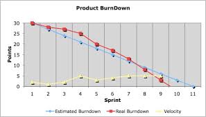 Image result for burnup chart