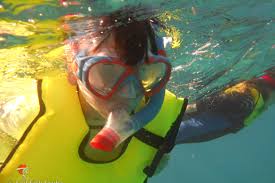 Image result for East Snorkellers