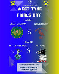 Image result for Tynedale Cricket Club