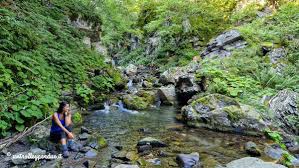 Image result for cascate del dardagna