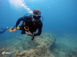 Image result for Scuba Fun