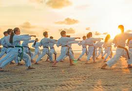 Image result for Springwood Karate