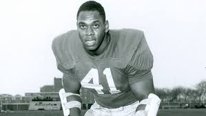 Image result for Thornhill Rugby League Football Club