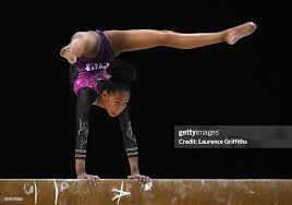 Image result for Appley Bridge Gymnastics Club