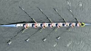 Image result for Windermere Rugby Club