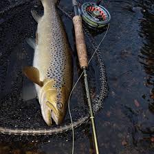 Image result for Addlestone Angling Society