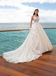 Image result for cosmobella