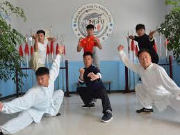 Image result for Shaolin Ancestors kung Fu School