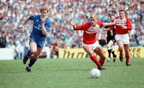 Image result for Herdings Park Football Club