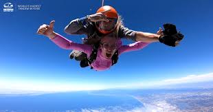 Image result for skiptondivers