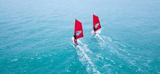 Image result for Aloha Sailboards