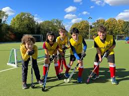 Image result for Phoenix Hockey Club (Essex)