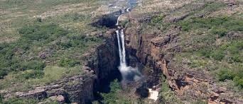 Billedresultat for kakadu n...