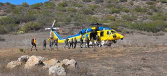 Image result for Mavet Phoenix Tactical Division