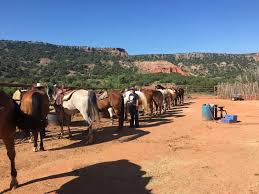 Image result for Old Park Riding Stables