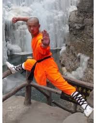 Image result for Shaolin Ancestors kung Fu School