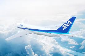 Image result for ana