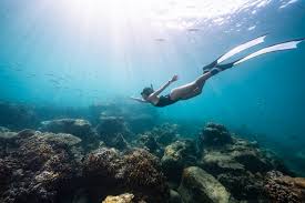 Image result for Deep Blue Diving
