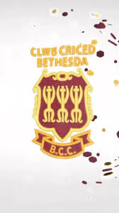 Image result for Clwb Criced A Bowlio Bethesda