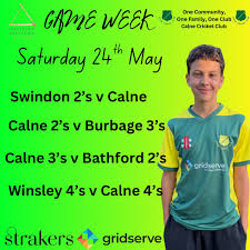 Image result for Calne Cricket Club