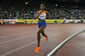 Image result for Tobogo