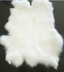 Image result for white rabbit skin texture