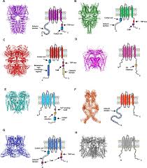 Image result for HTRPC