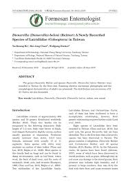 Attēlu rezultāti vaicājumam “Dienerella elongata”