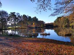 Image result for Staines Ramblers Group