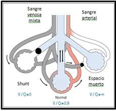 Image result for  v    q