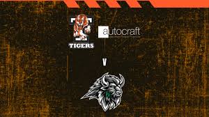 Image result for Telford Tigers
