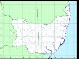 Attēlu rezultāti vaicājumam “Cladopodiella francisci”