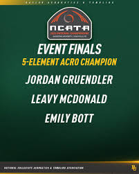 Image result for Elements Acro