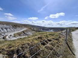 Image result for mountain top seashell