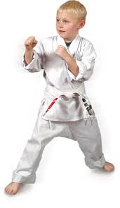 Image result for North Wilts Taekwondo