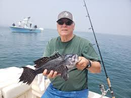 Image result for Paignton Sea Anglers Association