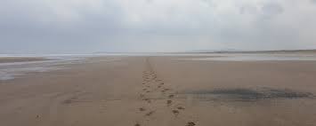 Image result for British Sub-Aqua Teesside 43 Branch