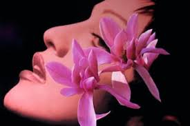 Image result for dazed cover madonna