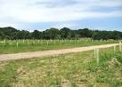 Amazona - car park off Hall Road. Providing plenty of parking space. - via Daymix