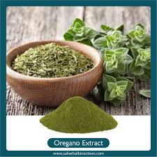 Attēlu rezultāti vaicājumam “Origanum vulgare leaf”