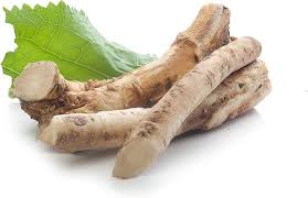 Attēlu rezultāti vaicājumam “Armoracia rusticana”