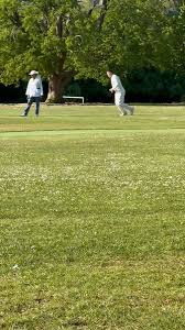 Image result for All Cannings Cricket Club