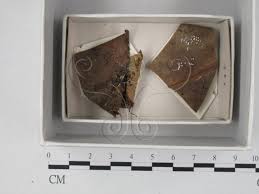 Attēlu rezultāti vaicājumam “Diderma hemisphaericum”