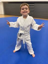 Image result for Redhill Karate Association